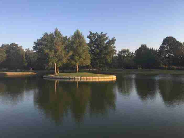 Eckies Pond 702x526