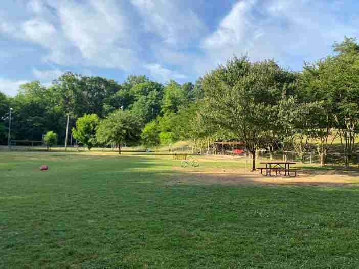 dogpark 702x526