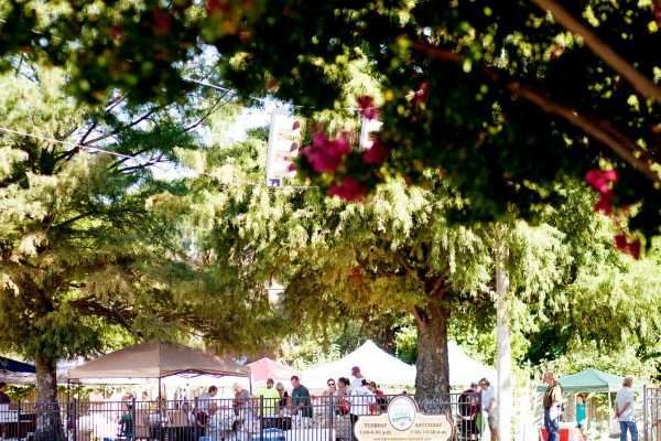 Starkville Community Market